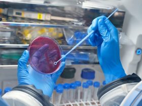 Medical Manufacturing